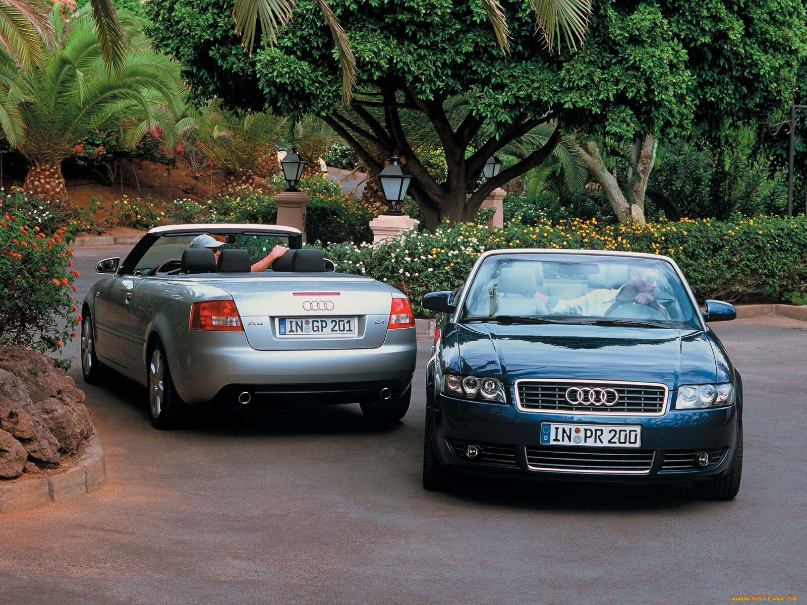, audi